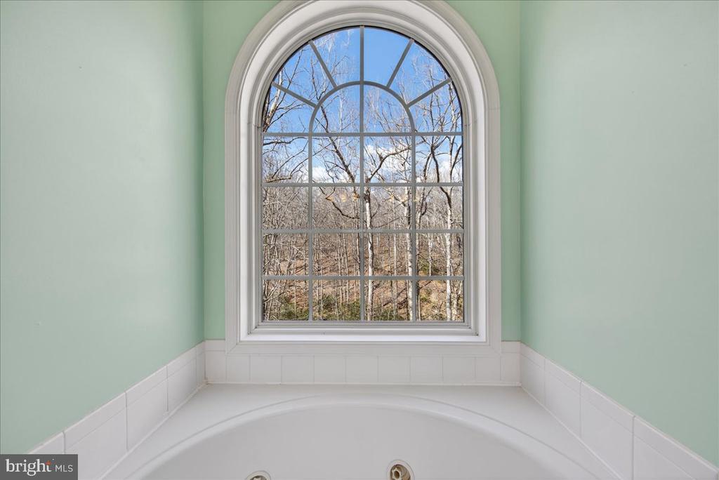 18 CHICKASAW PL, PALMYRA, Virginia 22963, 4 Bedrooms Bedrooms, ,3 BathroomsBathrooms,Residential,18 CHICKASAW PL,VAFN2000642 MLS # VAFN2000642