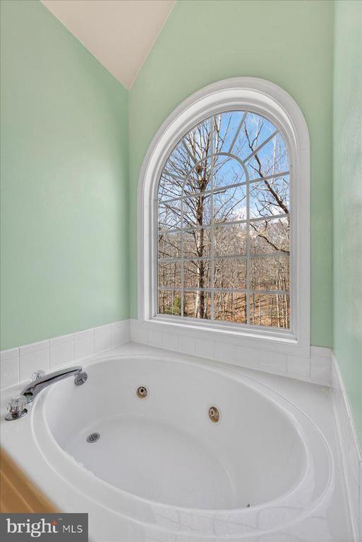 18 CHICKASAW PL, PALMYRA, Virginia 22963, 4 Bedrooms Bedrooms, ,3 BathroomsBathrooms,Residential,18 CHICKASAW PL,VAFN2000642 MLS # VAFN2000642