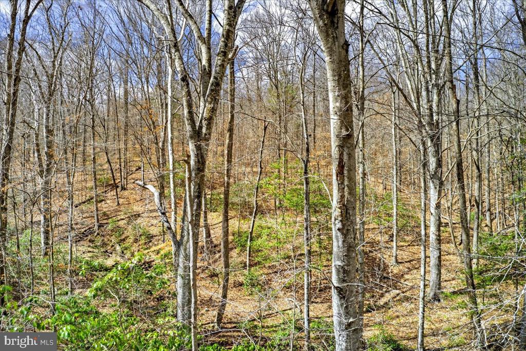 18 CHICKASAW PL, PALMYRA, Virginia 22963, 4 Bedrooms Bedrooms, ,3 BathroomsBathrooms,Residential,18 CHICKASAW PL,VAFN2000642 MLS # VAFN2000642