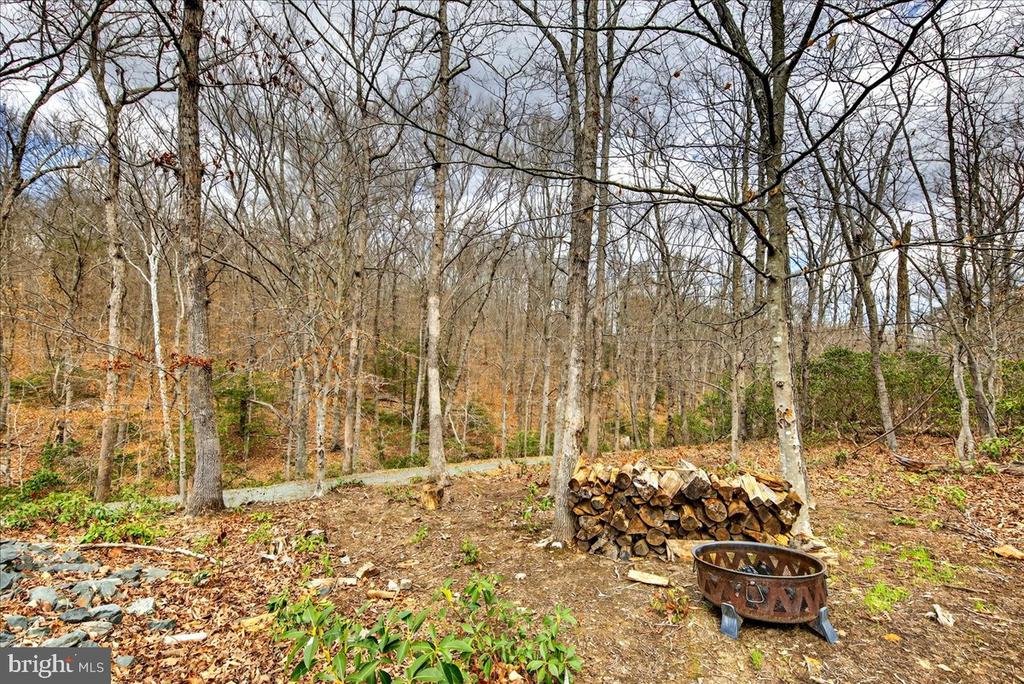 18 CHICKASAW PL, PALMYRA, Virginia 22963, 4 Bedrooms Bedrooms, ,3 BathroomsBathrooms,Residential,18 CHICKASAW PL,VAFN2000642 MLS # VAFN2000642