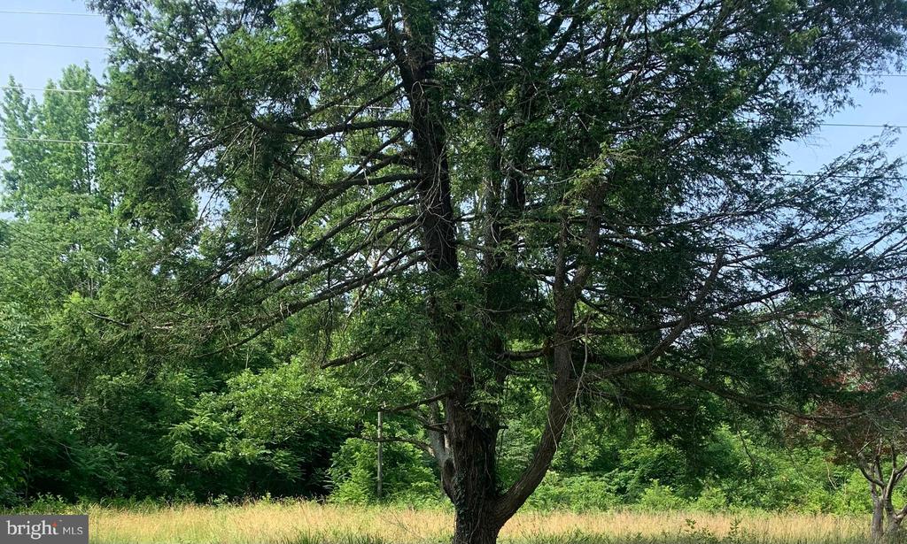 11900 POST OAK RD, SPOTSYLVANIA, Virginia 22551, ,Residential,11900 POST OAK RD,VASP2040268 MLS # VASP2040268