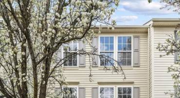 11120 GANDER CT, FREDERICKSBURG, Virginia 22407, 3 Bedrooms Bedrooms, ,2 BathroomsBathrooms,Residential,11120 GANDER CT,VASP2038050 MLS # VASP2038050