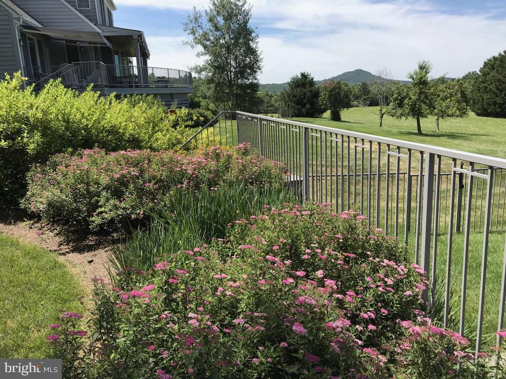 643 RICHMOND RD, AMISSVILLE, Virginia 20106, 3 Bedrooms Bedrooms, ,2 BathroomsBathrooms,Residential,643 RICHMOND RD,VARP2002496 MLS # VARP2002496 643 RICHMOND RD, AMISSVILLE, Virginia 20106, 3 Bedrooms Bedrooms, ,2 BathroomsBathrooms,Residential,643 RICHMOND RD,VARP2002496 MLS # VARP2002496