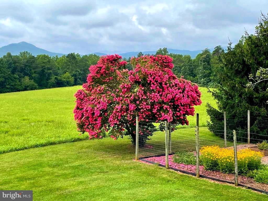 643 RICHMOND RD, AMISSVILLE, Virginia 20106, 3 Bedrooms Bedrooms, ,2 BathroomsBathrooms,Residential,643 RICHMOND RD,VARP2002496 MLS # VARP2002496 643 RICHMOND RD, AMISSVILLE, Virginia 20106, 3 Bedrooms Bedrooms, ,2 BathroomsBathrooms,Residential,643 RICHMOND RD,VARP2002496 MLS # VARP2002496