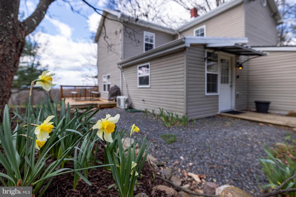 769 ROCKY BRANCH RD, LURAY, Virginia 22835, 3 Bedrooms Bedrooms, ,2 BathroomsBathrooms,Residential,769 ROCKY BRANCH RD,VAPA2005944 MLS # VAPA2005944 769 ROCKY BRANCH RD, LURAY, Virginia 22835, 3 Bedrooms Bedrooms, ,2 BathroomsBathrooms,Residential,769 ROCKY BRANCH RD,VAPA2005944 MLS # VAPA2005944