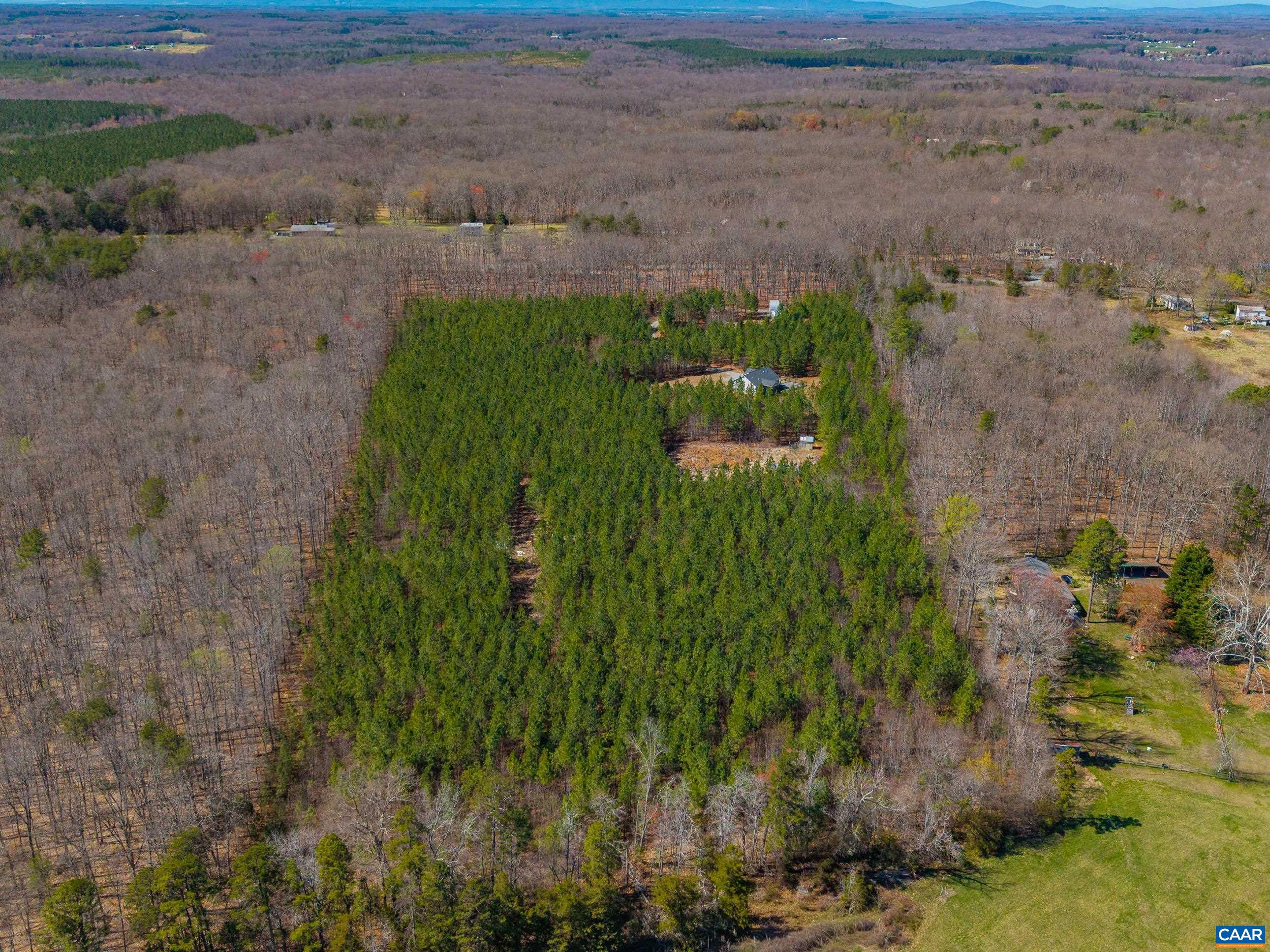 1340 ROUNDABOUT RD, LOUISA, Virginia 23093, 3 Bedrooms Bedrooms, ,2 BathroomsBathrooms,Residential,1340 ROUNDABOUT RD,674695 MLS # 674695 1340 ROUNDABOUT RD, LOUISA, Virginia 23093, 3 Bedrooms Bedrooms, ,2 BathroomsBathrooms,Residential,1340 ROUNDABOUT RD,674695 MLS # 674695