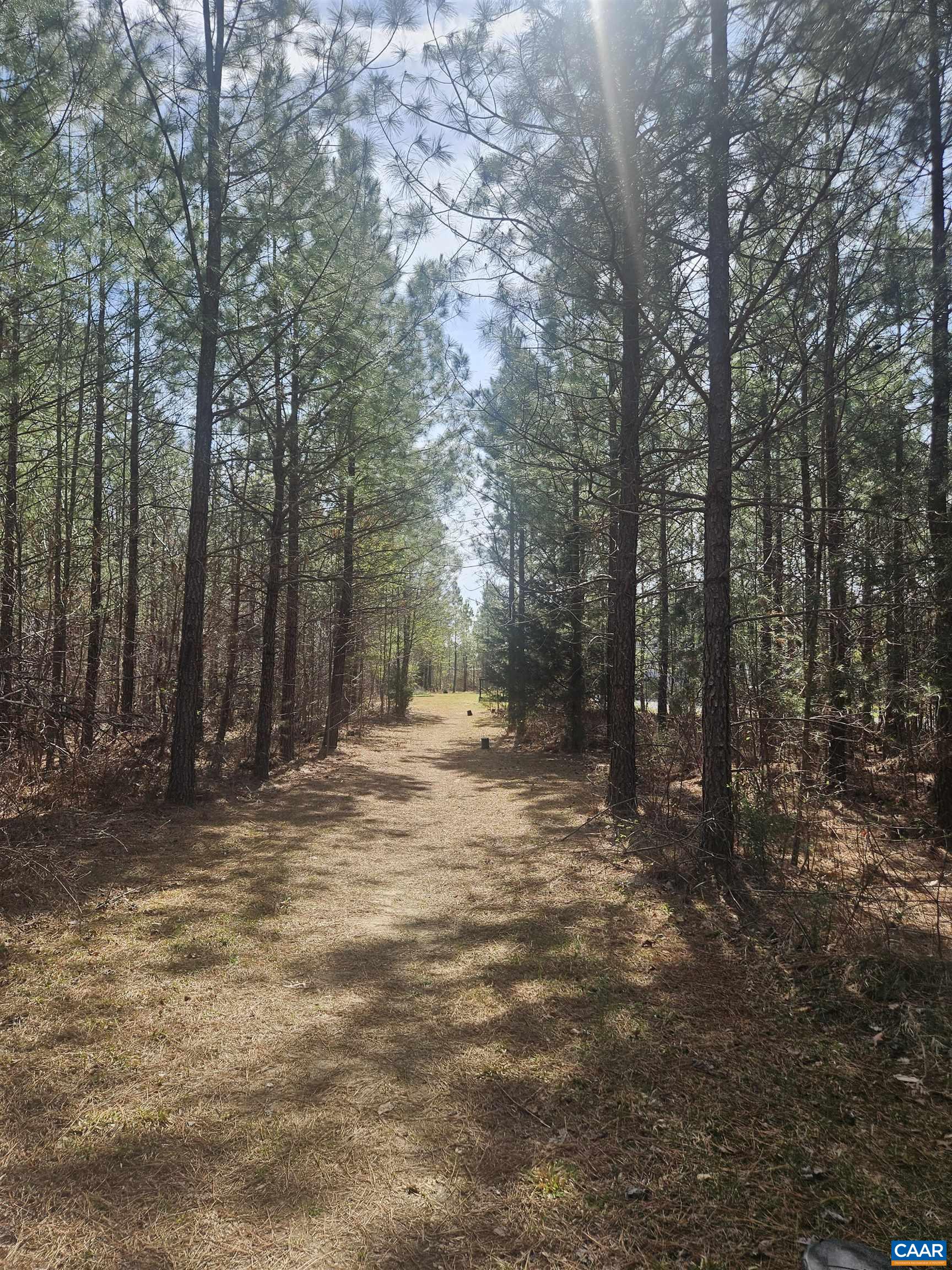 1340 ROUNDABOUT RD, LOUISA, Virginia 23093, 3 Bedrooms Bedrooms, ,2 BathroomsBathrooms,Residential,1340 ROUNDABOUT RD,674695 MLS # 674695 1340 ROUNDABOUT RD, LOUISA, Virginia 23093, 3 Bedrooms Bedrooms, ,2 BathroomsBathrooms,Residential,1340 ROUNDABOUT RD,674695 MLS # 674695