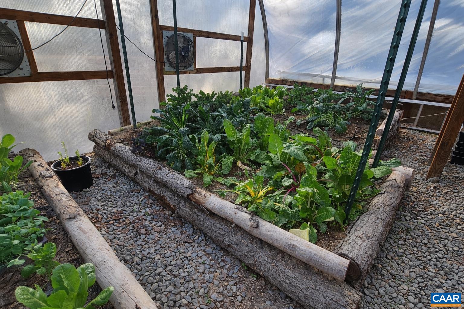 1340 ROUNDABOUT RD, LOUISA, Virginia 23093, 3 Bedrooms Bedrooms, ,2 BathroomsBathrooms,Residential,1340 ROUNDABOUT RD,674695 MLS # 674695 1340 ROUNDABOUT RD, LOUISA, Virginia 23093, 3 Bedrooms Bedrooms, ,2 BathroomsBathrooms,Residential,1340 ROUNDABOUT RD,674695 MLS # 674695