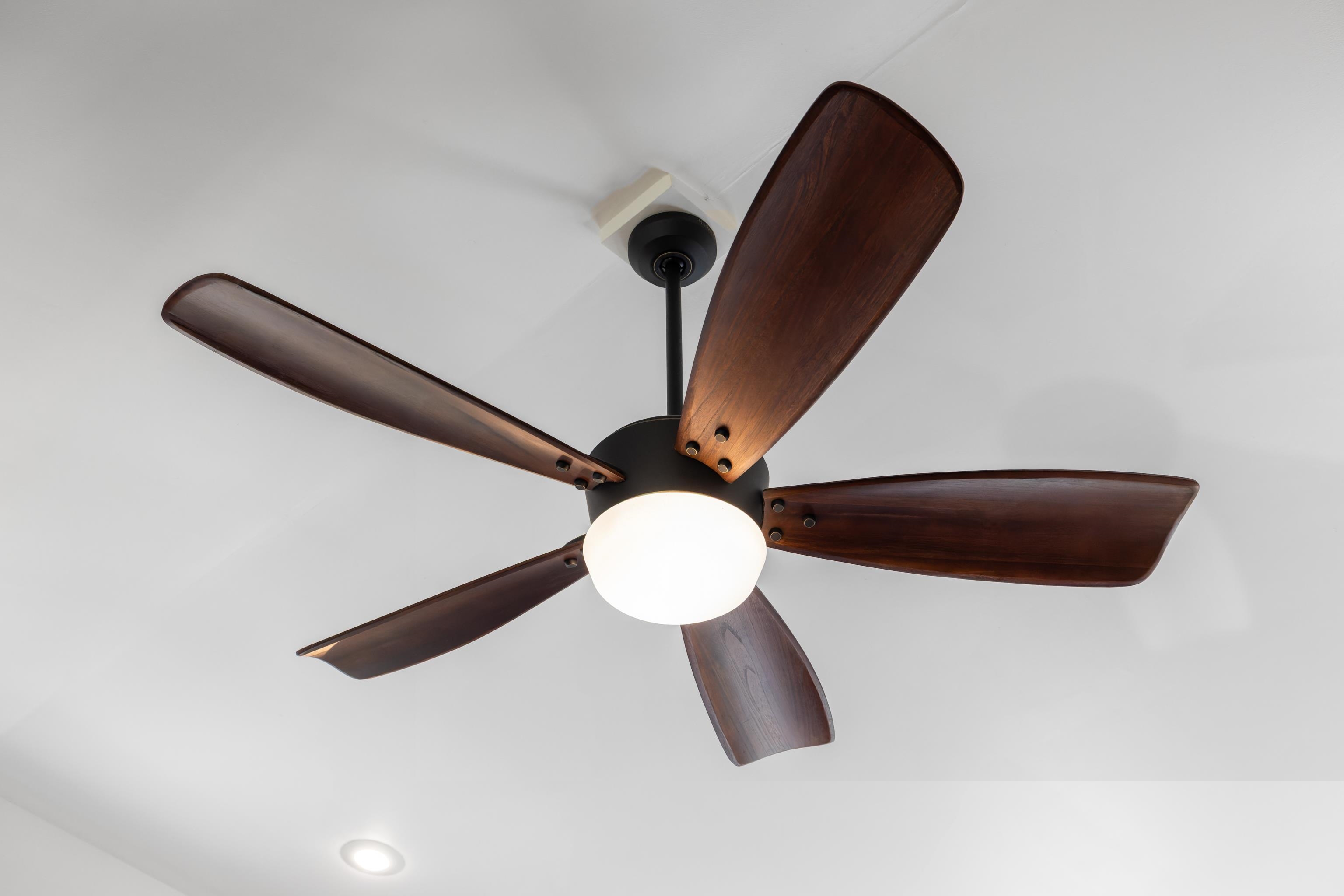 1015 HAMLET DR, ROCKINGHAM, Virginia 22802, 4 Bedrooms Bedrooms, ,2 BathroomsBathrooms,Residential,1015 HAMLET DR,674773 MLS # 674773 1015 HAMLET DR, ROCKINGHAM, Virginia 22802, 4 Bedrooms Bedrooms, ,2 BathroomsBathrooms,Residential,1015 HAMLET DR,674773 MLS # 674773