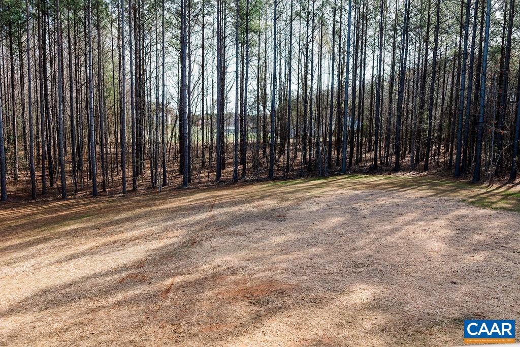 157 BARRINGER LN, BUMPASS, Virginia 23024, 3 Bedrooms Bedrooms, ,2 BathroomsBathrooms,Residential,157 BARRINGER LN,674795 MLS # 674795