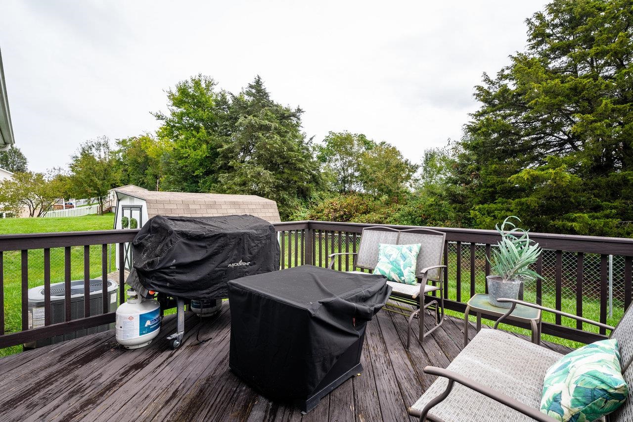 51 FALCON LN, WEYERS CAVE, Virginia 24486, 3 Bedrooms Bedrooms, ,2 BathroomsBathrooms,Residential,51 FALCON LN,674838 MLS # 674838