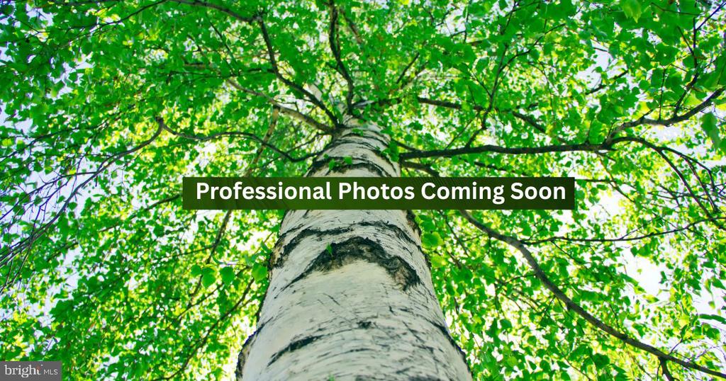 LOT 7B OLD STILLHOUSE RD, BOSTON, Virginia 22713, ,Land,LOT 7B OLD STILLHOUSE RD,VACU2013088 MLS # VACU2013088