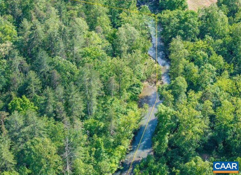 00 CHAPMAN RD, STANARDSVILLE, Virginia 22973, ,Land,00 CHAPMAN RD,674851 MLS # 674851