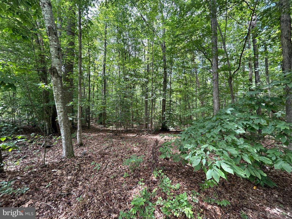 18184 CRAWFORD LN, GORDONSVILLE, Virginia 22942, 4 Bedrooms Bedrooms, ,3 BathroomsBathrooms,Residential,18184 CRAWFORD LN,VAOR2013652 MLS # VAOR2013652