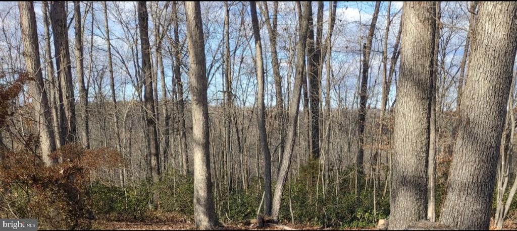 18184 CRAWFORD LN, GORDONSVILLE, Virginia 22942, 4 Bedrooms Bedrooms, ,3 BathroomsBathrooms,Residential,18184 CRAWFORD LN,VAOR2013652 MLS # VAOR2013652