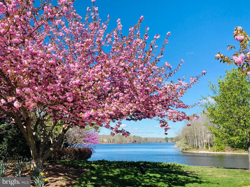 11003 WATERSTONE PL, SPOTSYLVANIA, Virginia 22551, 5 Bedrooms Bedrooms, ,5 BathroomsBathrooms,Residential,11003 WATERSTONE PL,VASP2040178 MLS # VASP2040178