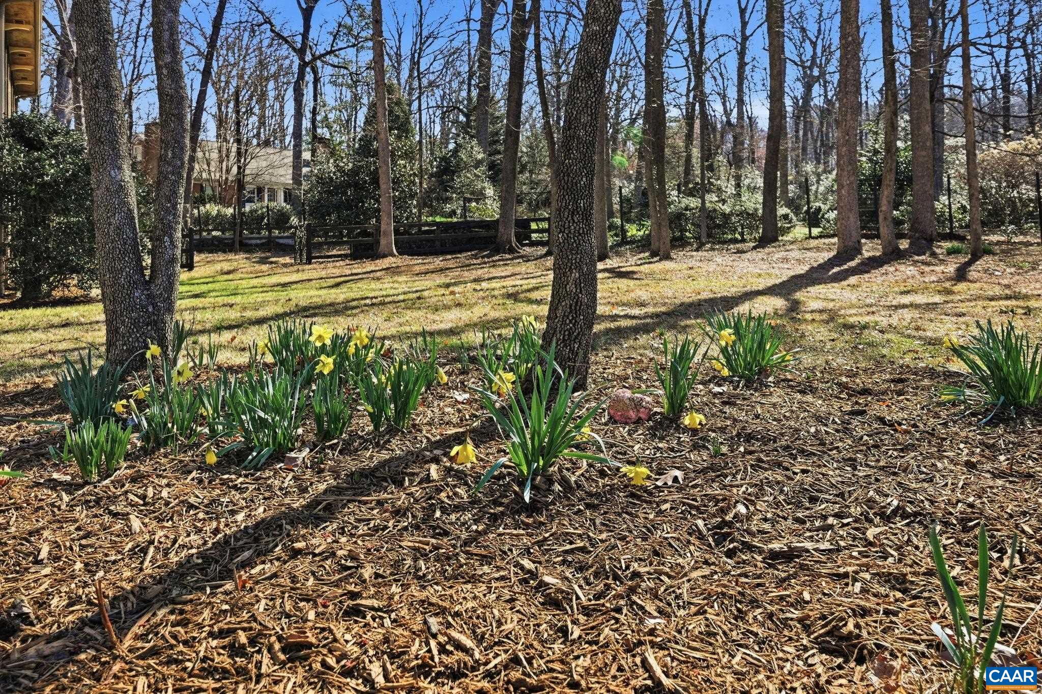 829 FLORDON DR, CHARLOTTESVILLE, Virginia 22901, 4 Bedrooms Bedrooms, ,2 BathroomsBathrooms,Residential,829 FLORDON DR,674699 MLS # 674699