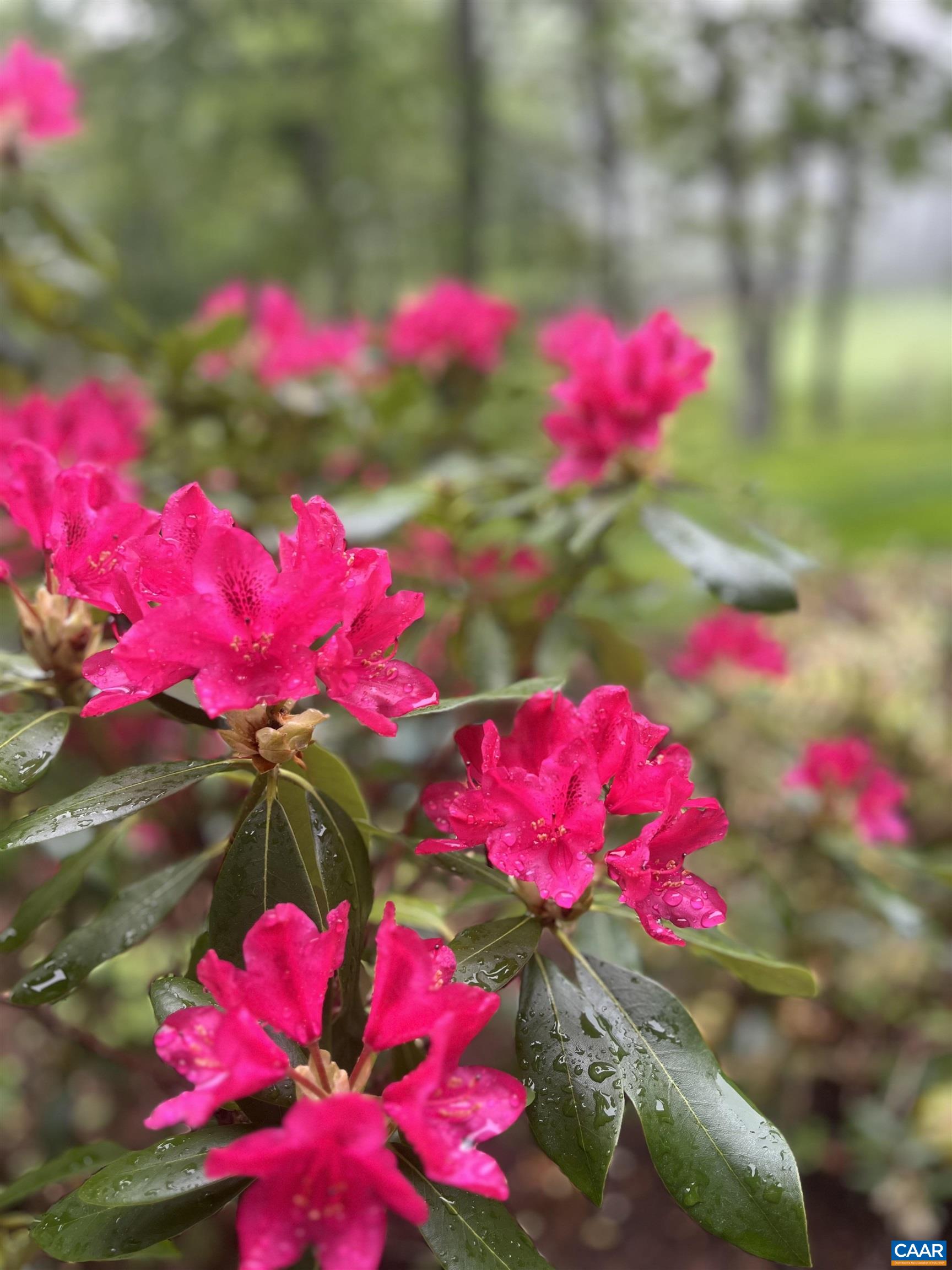 2052 STONE RIDGE CONDOS, WINTERGREEN, Virginia 22967, 1 Bedroom Bedrooms, ,1 BathroomBathrooms,Residential,2052 STONE RIDGE CONDOS,674840 MLS # 674840