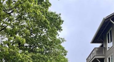 2052 STONE RIDGE CONDOS, WINTERGREEN, Virginia 22967, 1 Bedroom Bedrooms, ,1 BathroomBathrooms,Residential,2052 STONE RIDGE CONDOS,674840 MLS # 674840