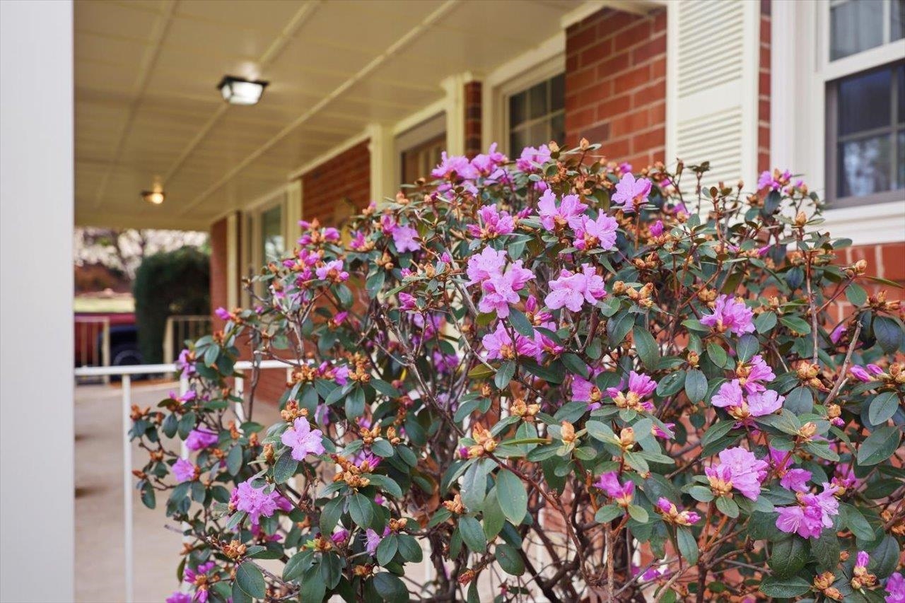 408 ROBIN ST, STAUNTON, Virginia 24401, 3 Bedrooms Bedrooms, ,2 BathroomsBathrooms,Residential,408 ROBIN ST,674844 MLS # 674844 408 ROBIN ST, STAUNTON, Virginia 24401, 3 Bedrooms Bedrooms, ,2 BathroomsBathrooms,Residential,408 ROBIN ST,674844 MLS # 674844