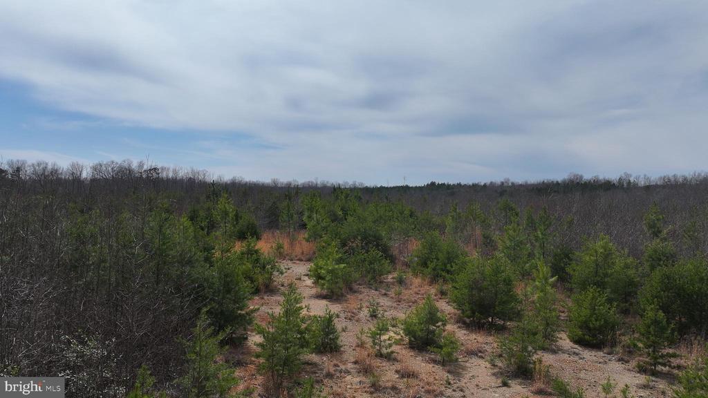 0 WESBEY DR, LOUISA, Virginia 23093, ,Land,0 WESBEY DR,VALA2009516 MLS # VALA2009516