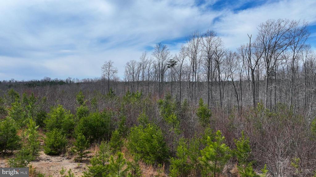 0 WESBEY DR, LOUISA, Virginia 23093, ,Land,0 WESBEY DR,VALA2009516 MLS # VALA2009516