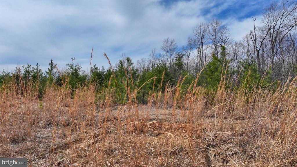 0 WESBEY DR, LOUISA, Virginia 23093, ,Land,0 WESBEY DR,VALA2009516 MLS # VALA2009516