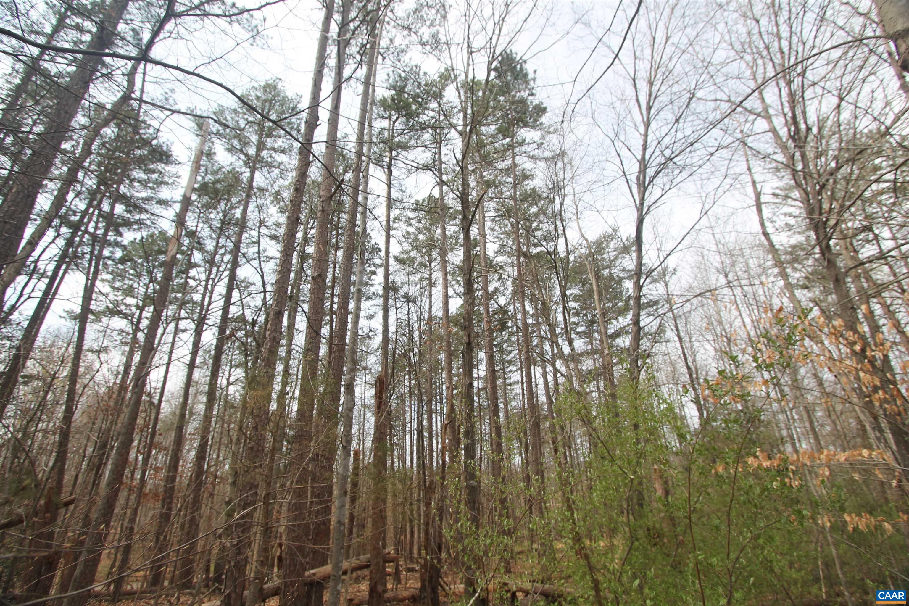 TBD SULPHUR MINE RD, CHARLOTTESVILLE, Virginia 22911, ,Land,TBD SULPHUR MINE RD,674861 MLS # 674861