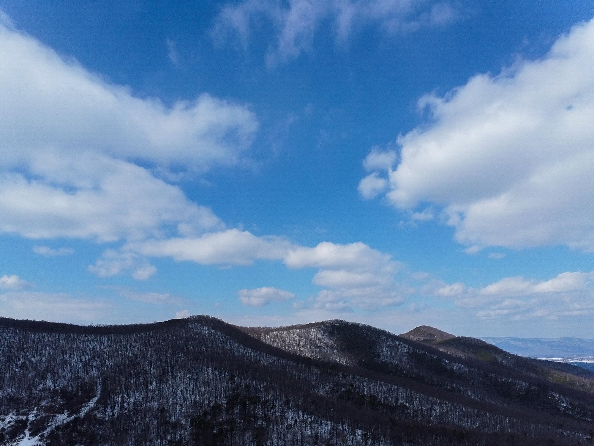 TBD CUBBAGE HOLLOW RD, STANLEY, Virginia 22851, ,Land,TBD CUBBAGE HOLLOW RD,674868 MLS # 674868