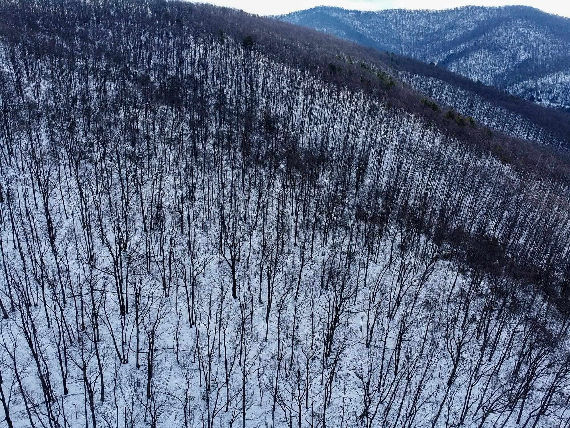 TBD CUBBAGE HOLLOW RD, STANLEY, Virginia 22851, ,Land,TBD CUBBAGE HOLLOW RD,674868 MLS # 674868