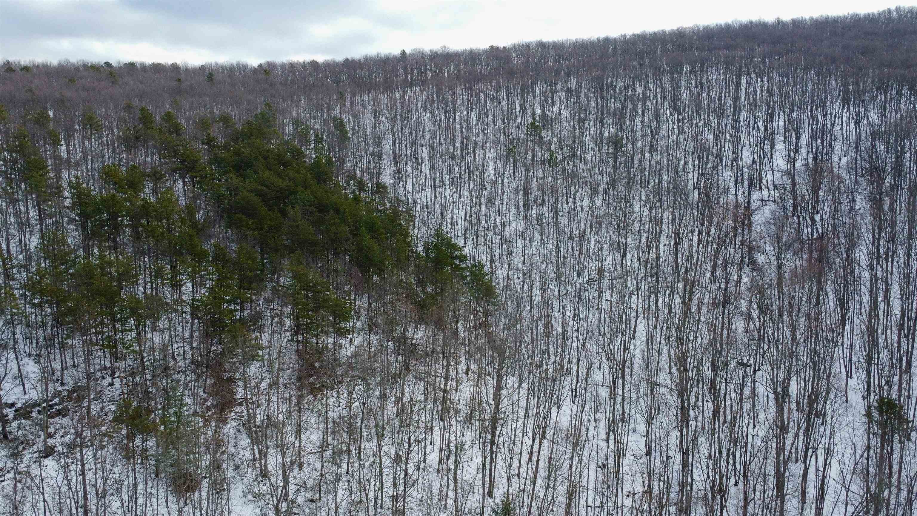 TBD CUBBAGE HOLLOW RD, STANLEY, Virginia 22851, ,Land,TBD CUBBAGE HOLLOW RD,674868 MLS # 674868