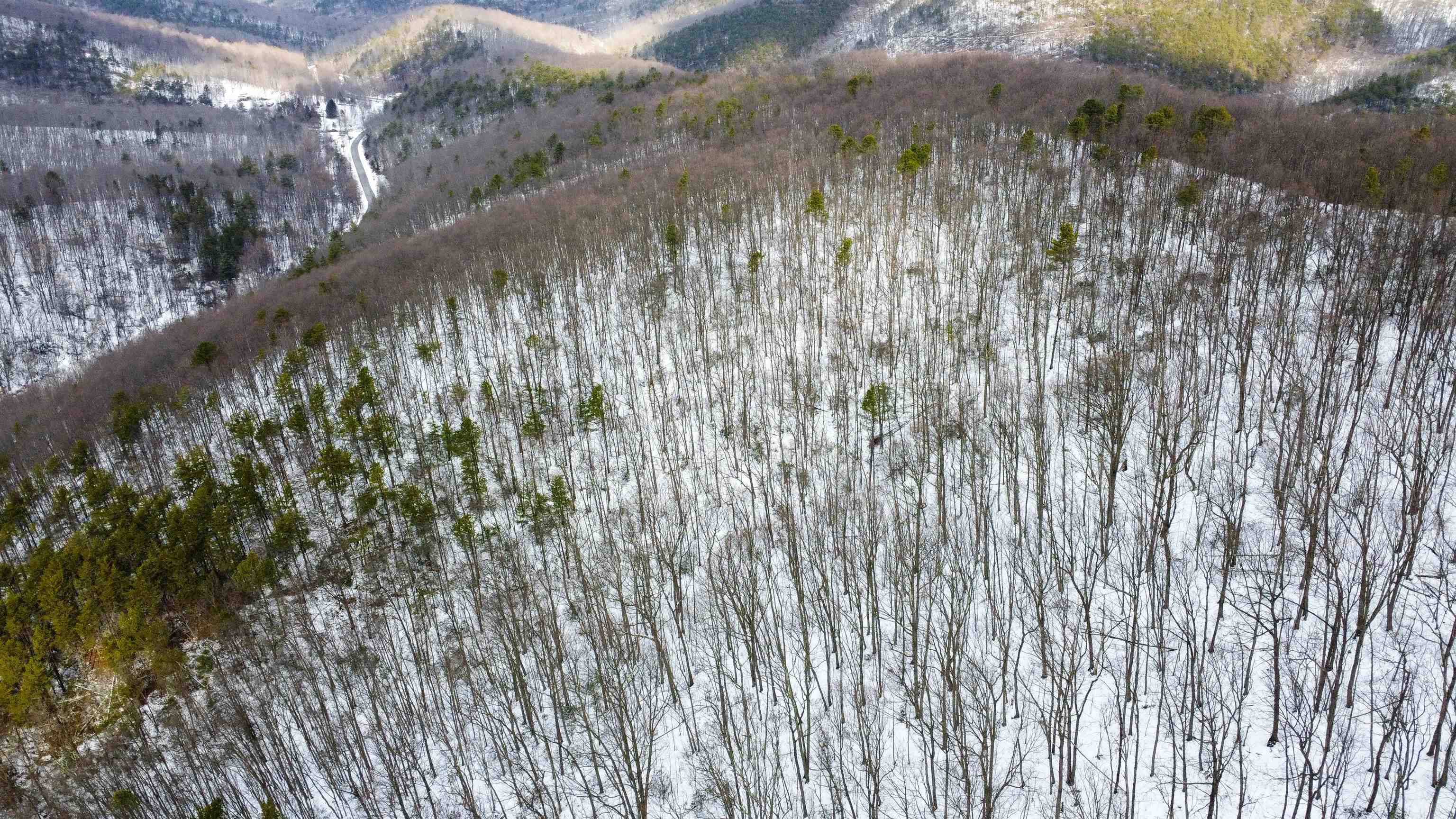 TBD CUBBAGE HOLLOW RD, STANLEY, Virginia 22851, ,Land,TBD CUBBAGE HOLLOW RD,674868 MLS # 674868