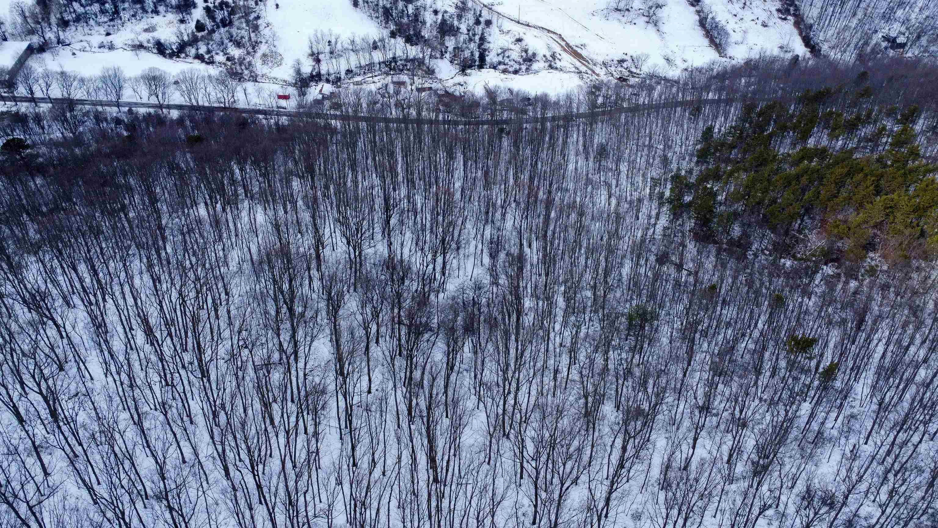 TBD CUBBAGE HOLLOW RD, STANLEY, Virginia 22851, ,Land,TBD CUBBAGE HOLLOW RD,674868 MLS # 674868