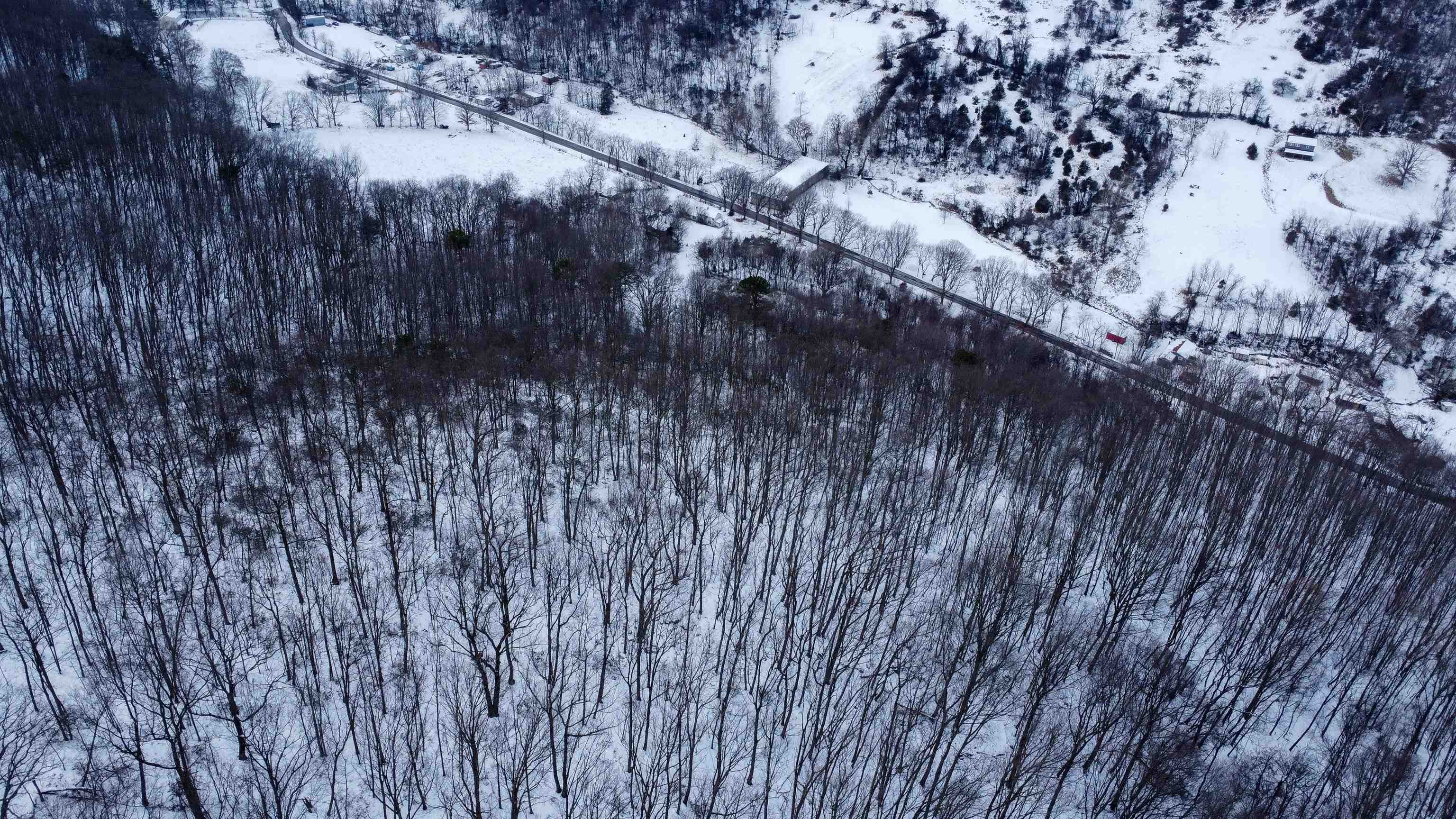 TBD CUBBAGE HOLLOW RD, STANLEY, Virginia 22851, ,Land,TBD CUBBAGE HOLLOW RD,674868 MLS # 674868