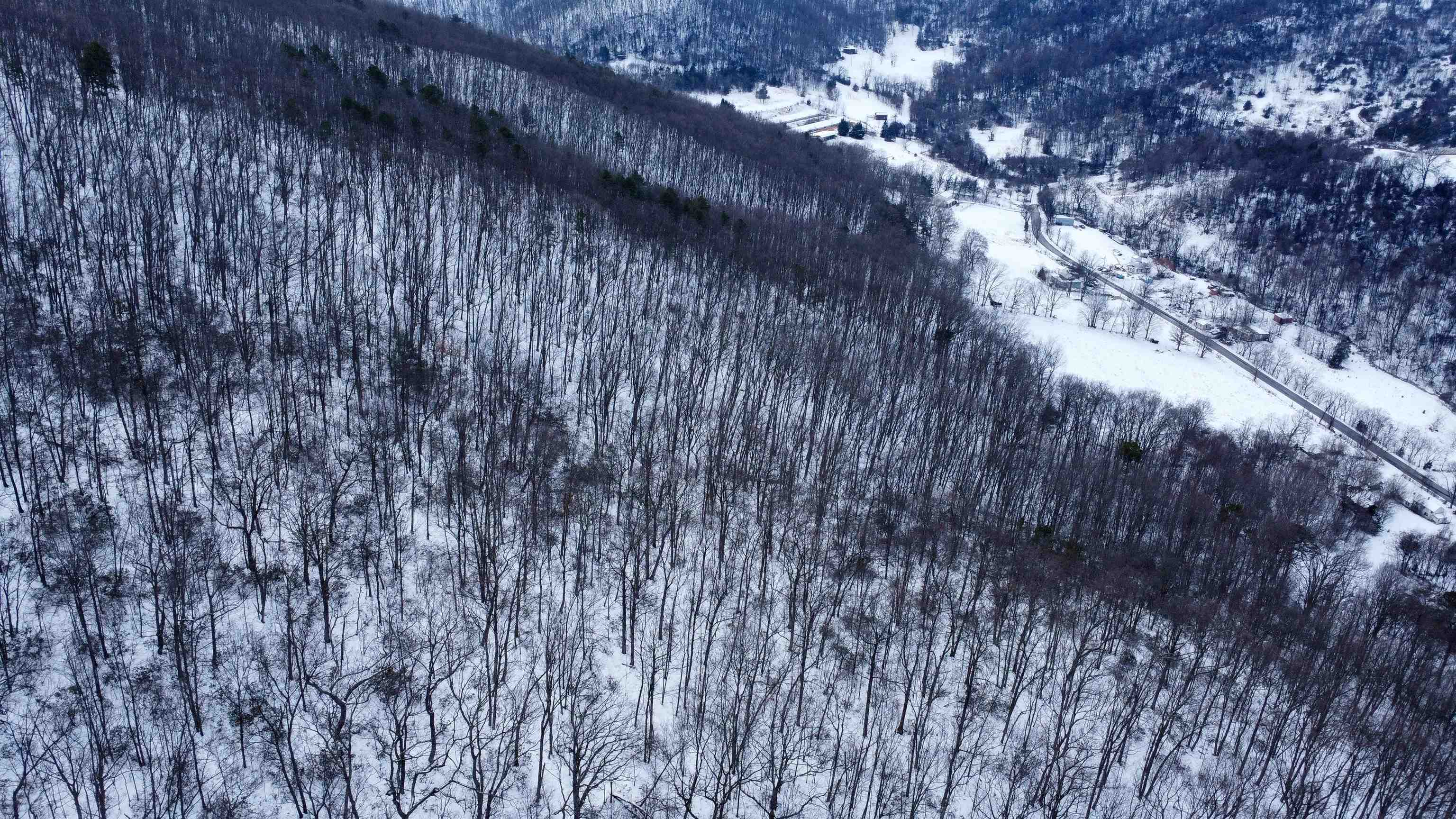 TBD CUBBAGE HOLLOW RD, STANLEY, Virginia 22851, ,Land,TBD CUBBAGE HOLLOW RD,674868 MLS # 674868