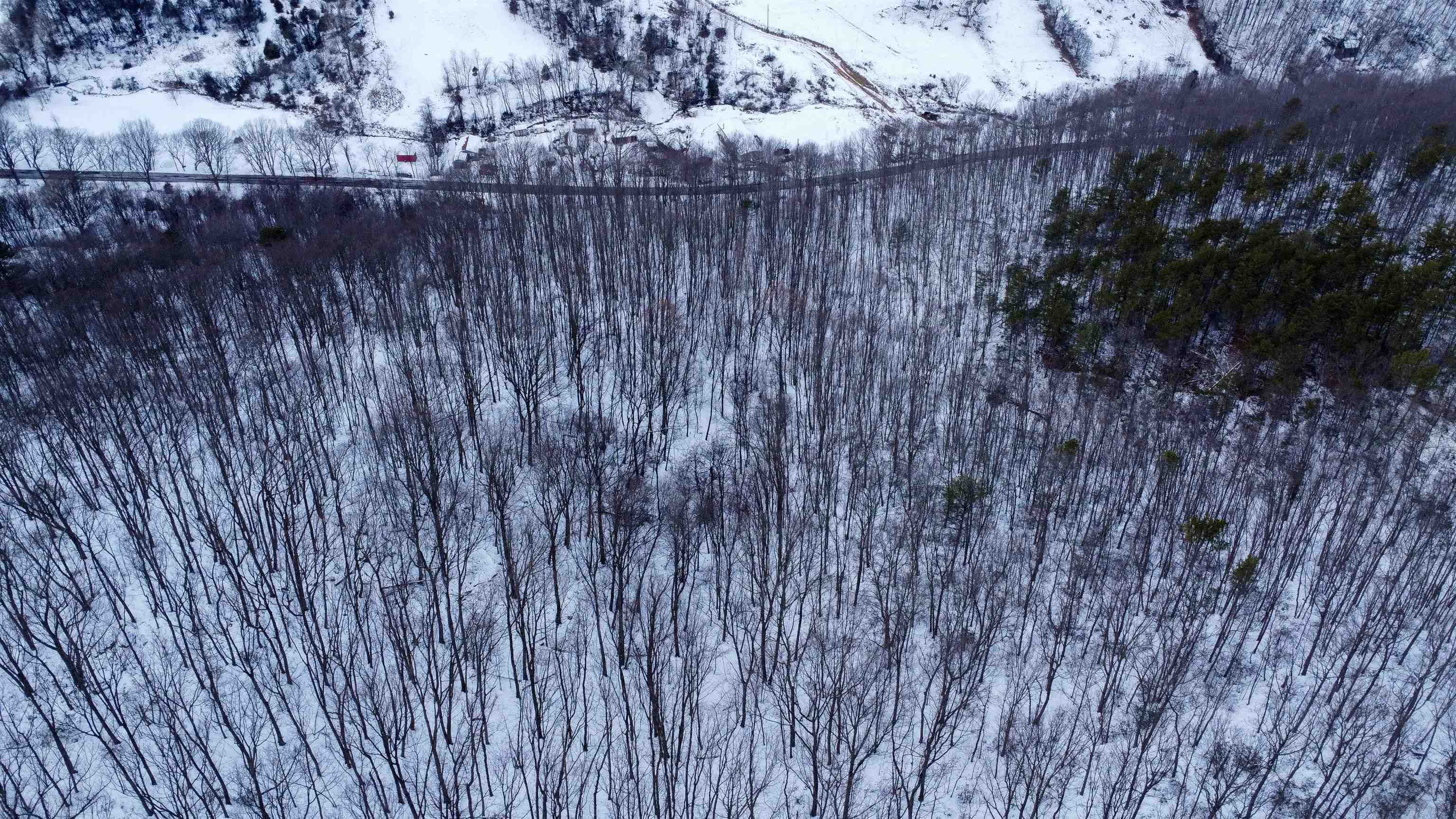 TBD CUBBAGE HOLLOW RD, STANLEY, Virginia 22851, ,Land,TBD CUBBAGE HOLLOW RD,674868 MLS # 674868