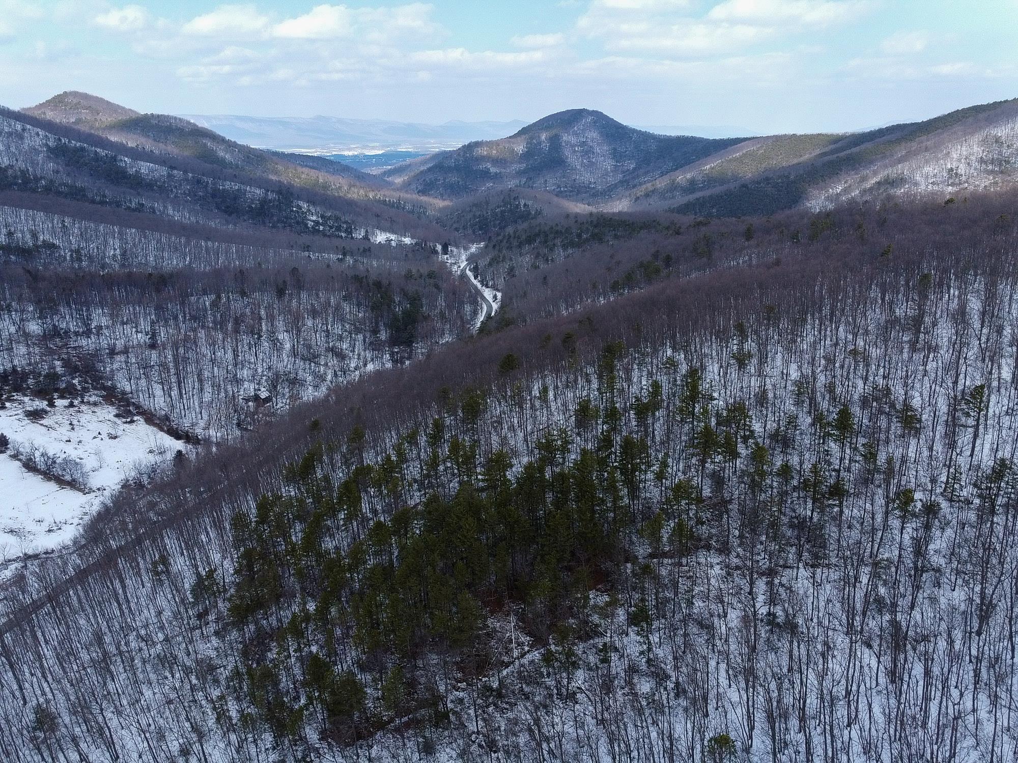 TBD CUBBAGE HOLLOW RD, STANLEY, Virginia 22851, ,Land,TBD CUBBAGE HOLLOW RD,674868 MLS # 674868