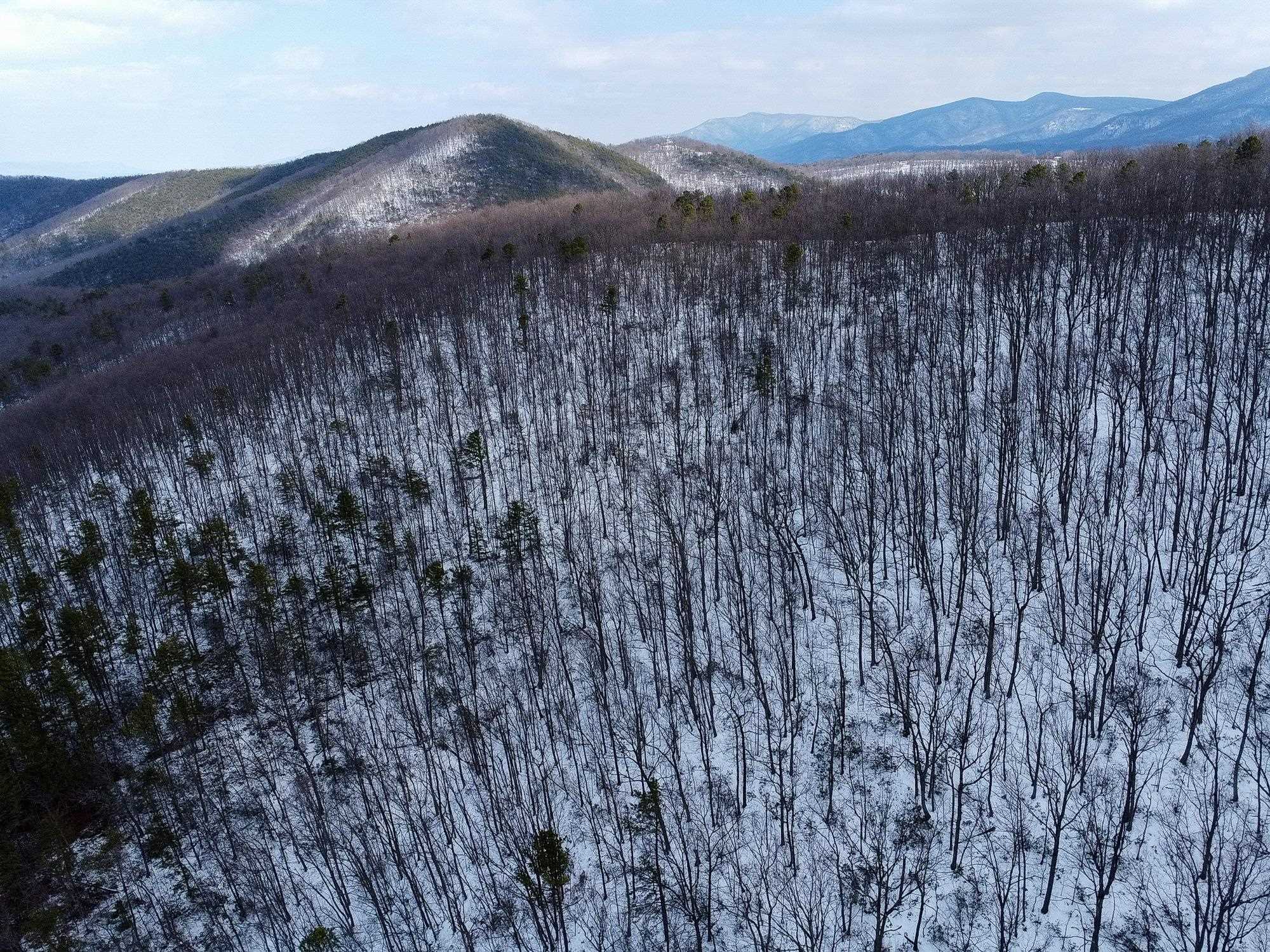 TBD CUBBAGE HOLLOW RD, STANLEY, Virginia 22851, ,Land,TBD CUBBAGE HOLLOW RD,674868 MLS # 674868