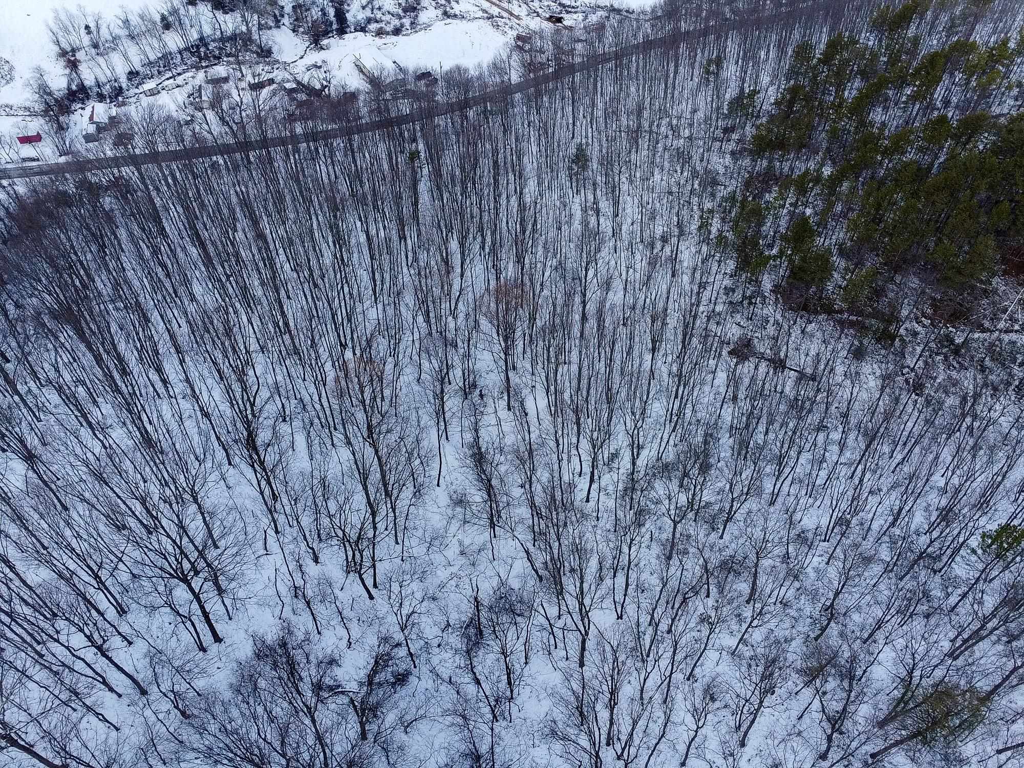 TBD CUBBAGE HOLLOW RD, STANLEY, Virginia 22851, ,Land,TBD CUBBAGE HOLLOW RD,674868 MLS # 674868