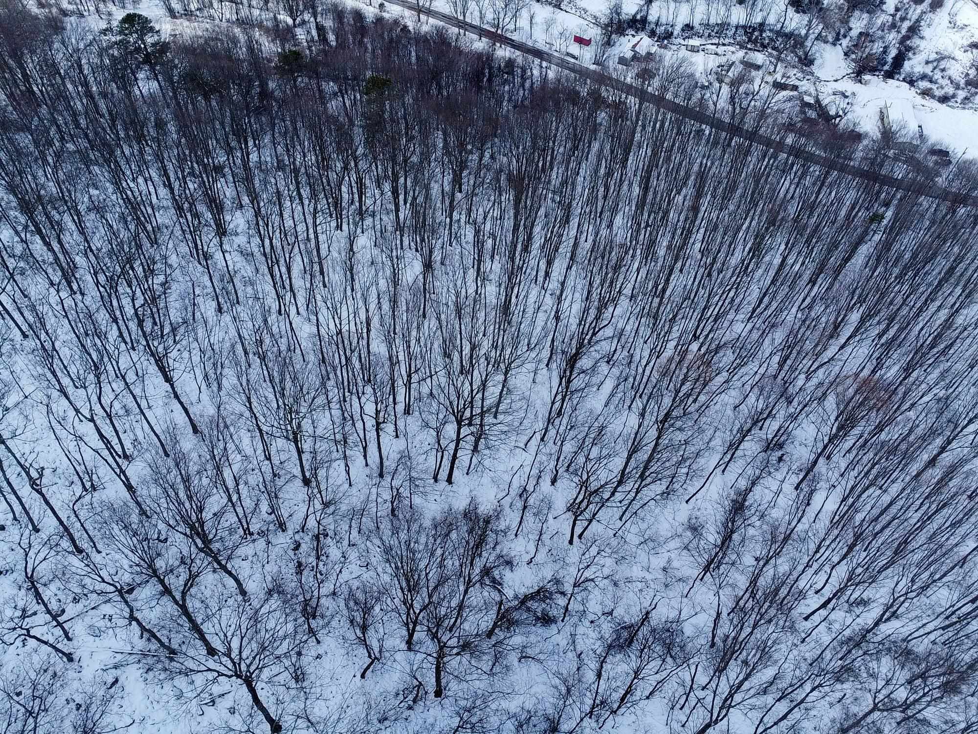 TBD CUBBAGE HOLLOW RD, STANLEY, Virginia 22851, ,Land,TBD CUBBAGE HOLLOW RD,674868 MLS # 674868