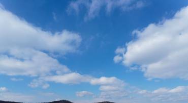 TBD CUBBAGE HOLLOW RD, STANLEY, Virginia 22851, ,Land,TBD CUBBAGE HOLLOW RD,674868 MLS # 674868