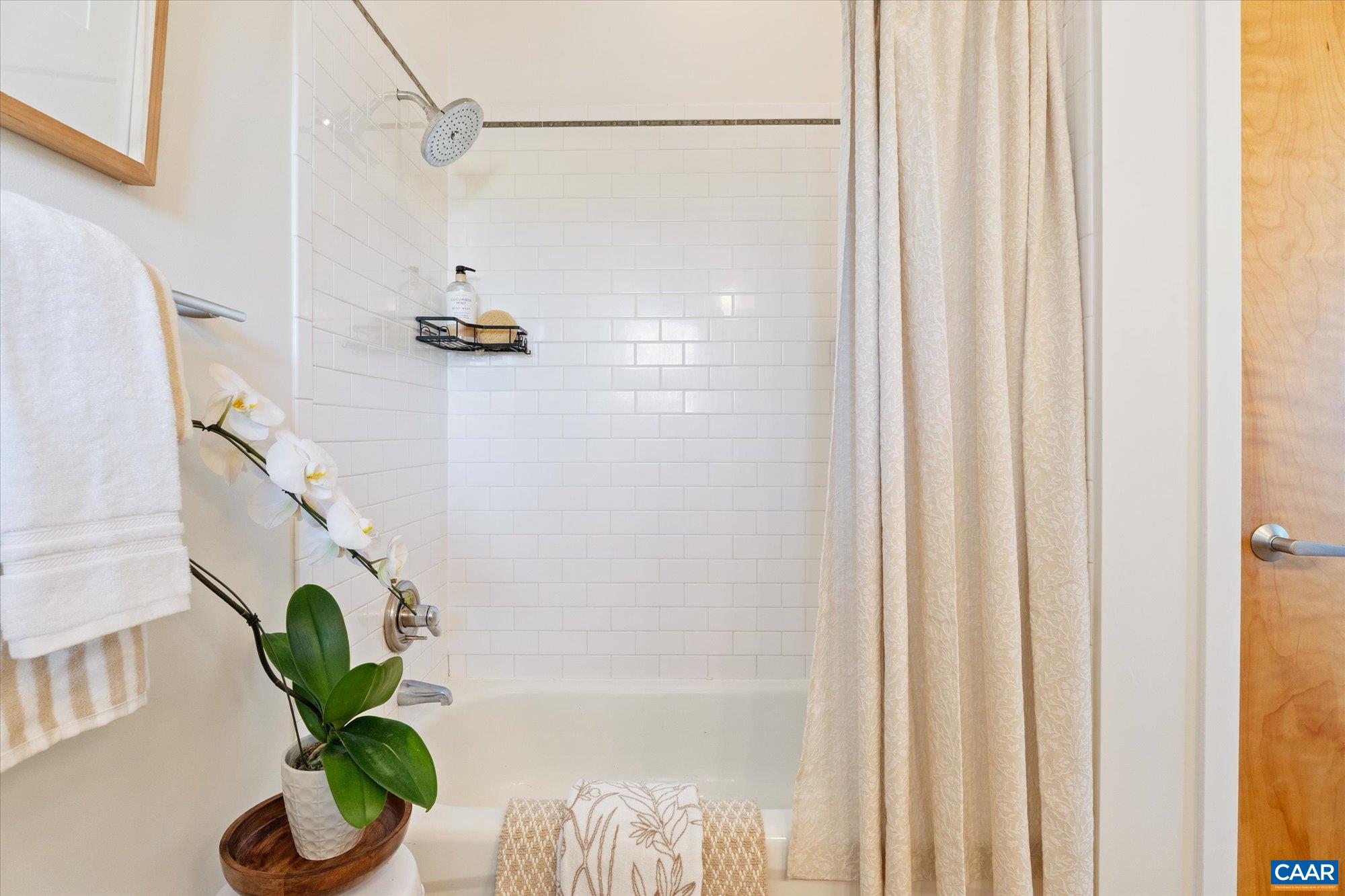 202 DOUGLAS AVE, CHARLOTTESVILLE, Virginia 22902, 2 Bedrooms Bedrooms, ,2 BathroomsBathrooms,Residential,Belmont Penthouse,202 DOUGLAS AVE,674857 MLS # 674857