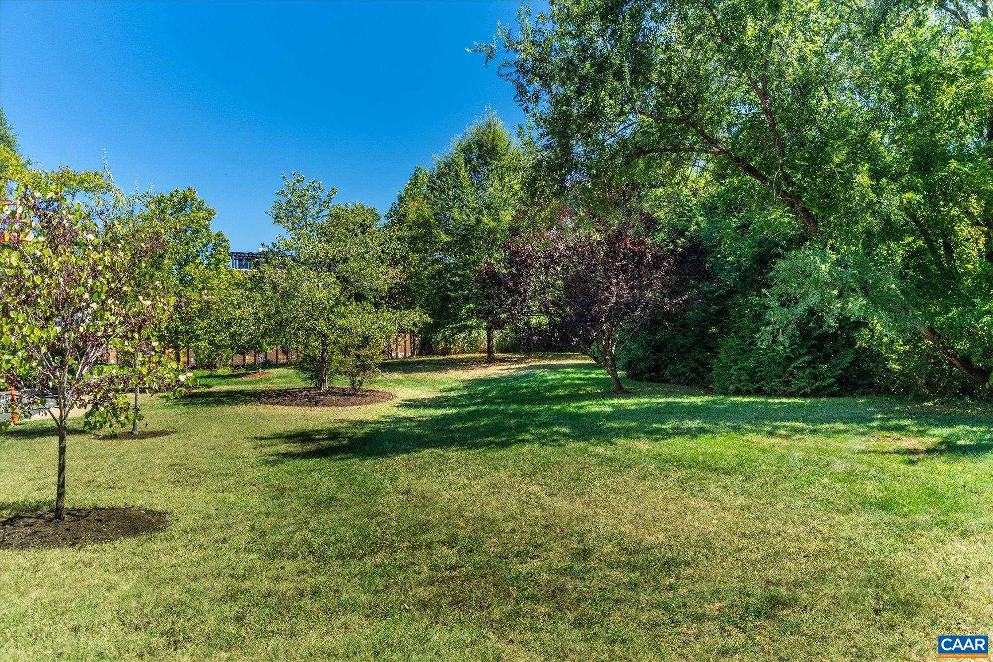 202 DOUGLAS AVE, CHARLOTTESVILLE, Virginia 22902, 2 Bedrooms Bedrooms, ,2 BathroomsBathrooms,Residential,Belmont Penthouse,202 DOUGLAS AVE,674857 MLS # 674857