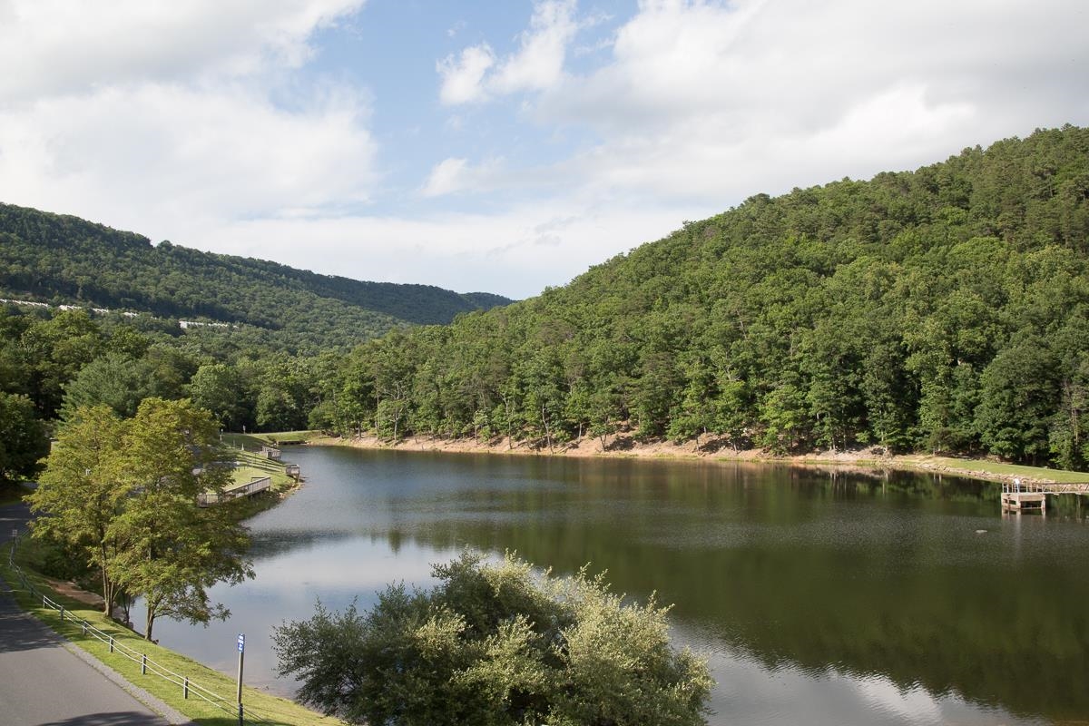 3070 HOPKINS DR, MCGAHEYSVILLE, Virginia 22840, 3 Bedrooms Bedrooms, ,2 BathroomsBathrooms,Residential,3070 HOPKINS DR,674887 MLS # 674887 3070 HOPKINS DR, MCGAHEYSVILLE, Virginia 22840, 3 Bedrooms Bedrooms, ,2 BathroomsBathrooms,Residential,3070 HOPKINS DR,674887 MLS # 674887