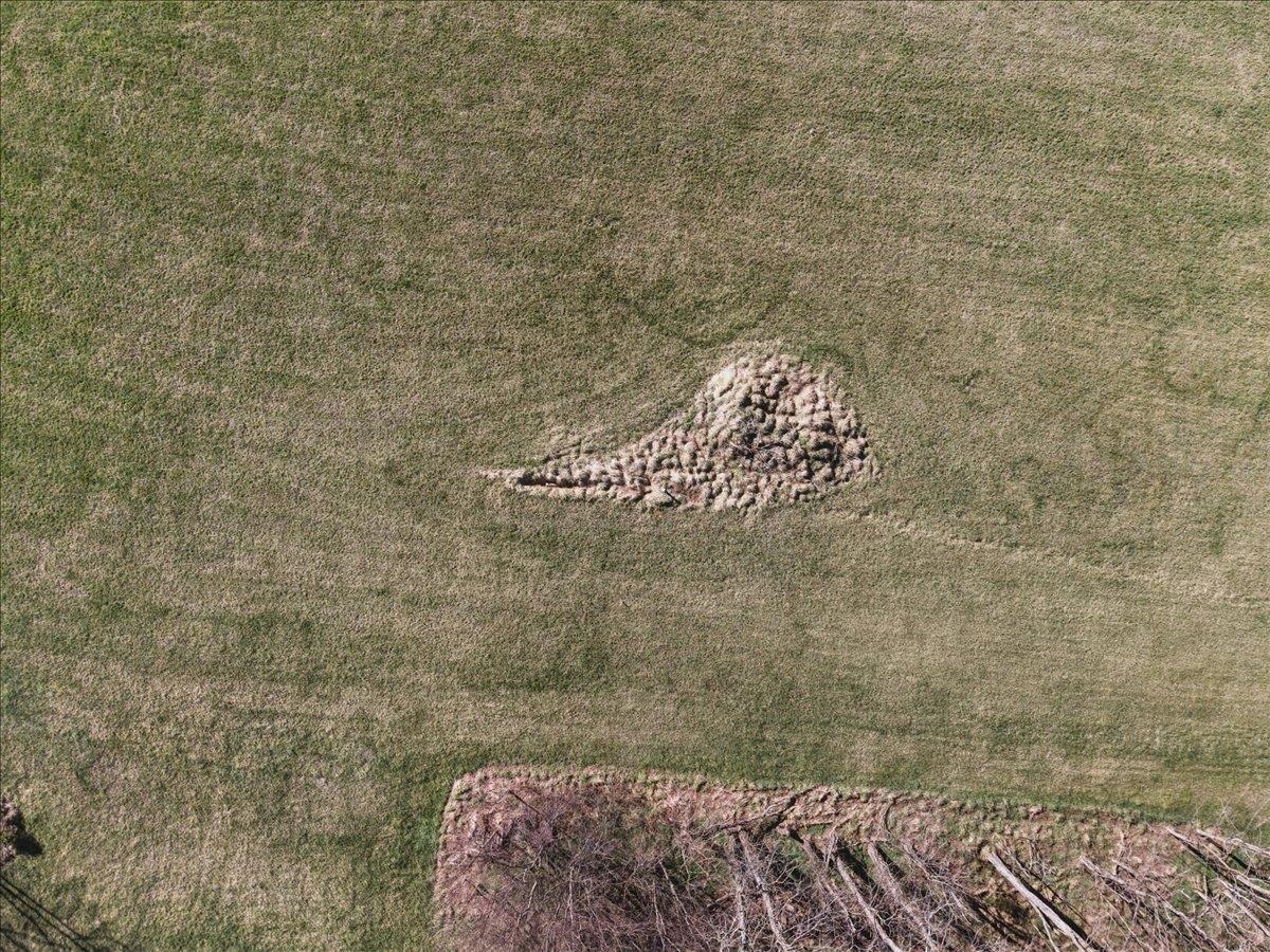 TBD TADPOLE LN, GREENVILLE, Virginia 24440, ,Land,TBD TADPOLE LN,674902 MLS # 674902 TBD TADPOLE LN, GREENVILLE, Virginia 24440, ,Land,TBD TADPOLE LN,674902 MLS # 674902