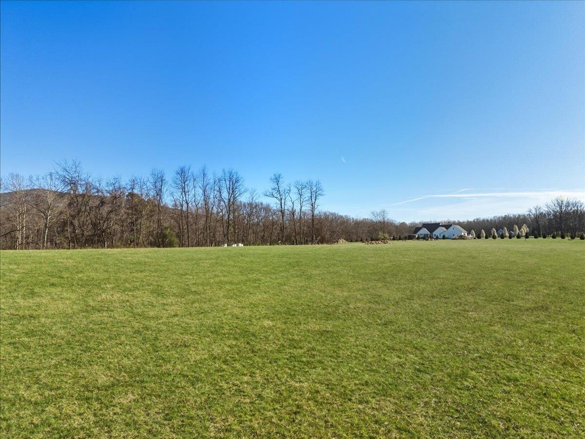 TBD TADPOLE LN, GREENVILLE, Virginia 24440, ,Land,TBD TADPOLE LN,674902 MLS # 674902 TBD TADPOLE LN, GREENVILLE, Virginia 24440, ,Land,TBD TADPOLE LN,674902 MLS # 674902