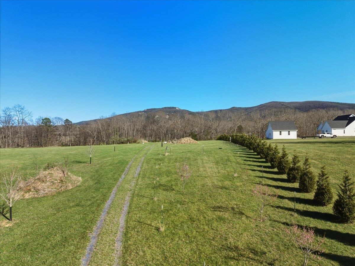 TBD TADPOLE LN, GREENVILLE, Virginia 24440, ,Land,TBD TADPOLE LN,674902 MLS # 674902 TBD TADPOLE LN, GREENVILLE, Virginia 24440, ,Land,TBD TADPOLE LN,674902 MLS # 674902