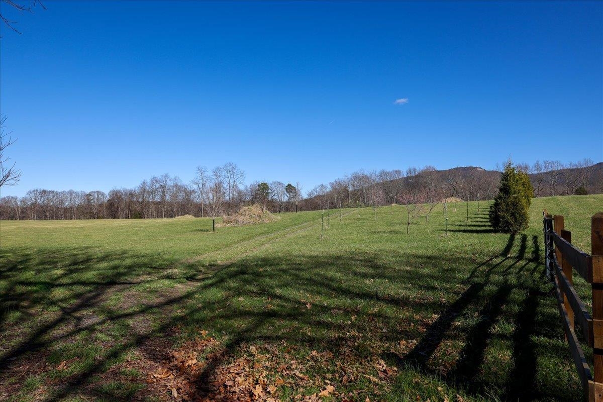 TBD TADPOLE LN, GREENVILLE, Virginia 24440, ,Land,TBD TADPOLE LN,674902 MLS # 674902 TBD TADPOLE LN, GREENVILLE, Virginia 24440, ,Land,TBD TADPOLE LN,674902 MLS # 674902