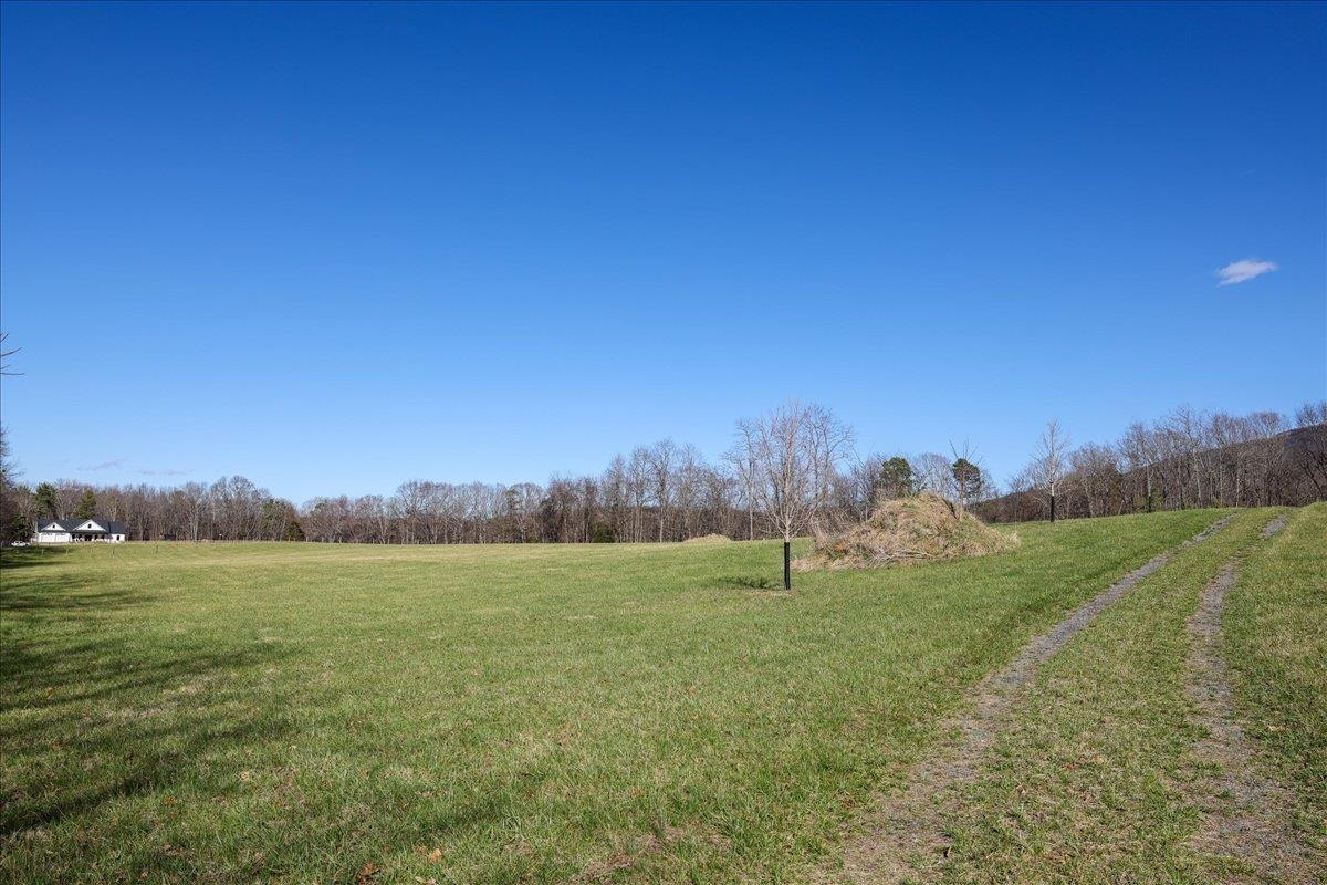 TBD TADPOLE LN, GREENVILLE, Virginia 24440, ,Land,TBD TADPOLE LN,674902 MLS # 674902 TBD TADPOLE LN, GREENVILLE, Virginia 24440, ,Land,TBD TADPOLE LN,674902 MLS # 674902