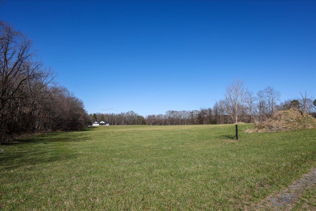 TBD TADPOLE LN, GREENVILLE, Virginia 24440, ,Land,TBD TADPOLE LN,674902 MLS # 674902 TBD TADPOLE LN, GREENVILLE, Virginia 24440, ,Land,TBD TADPOLE LN,674902 MLS # 674902